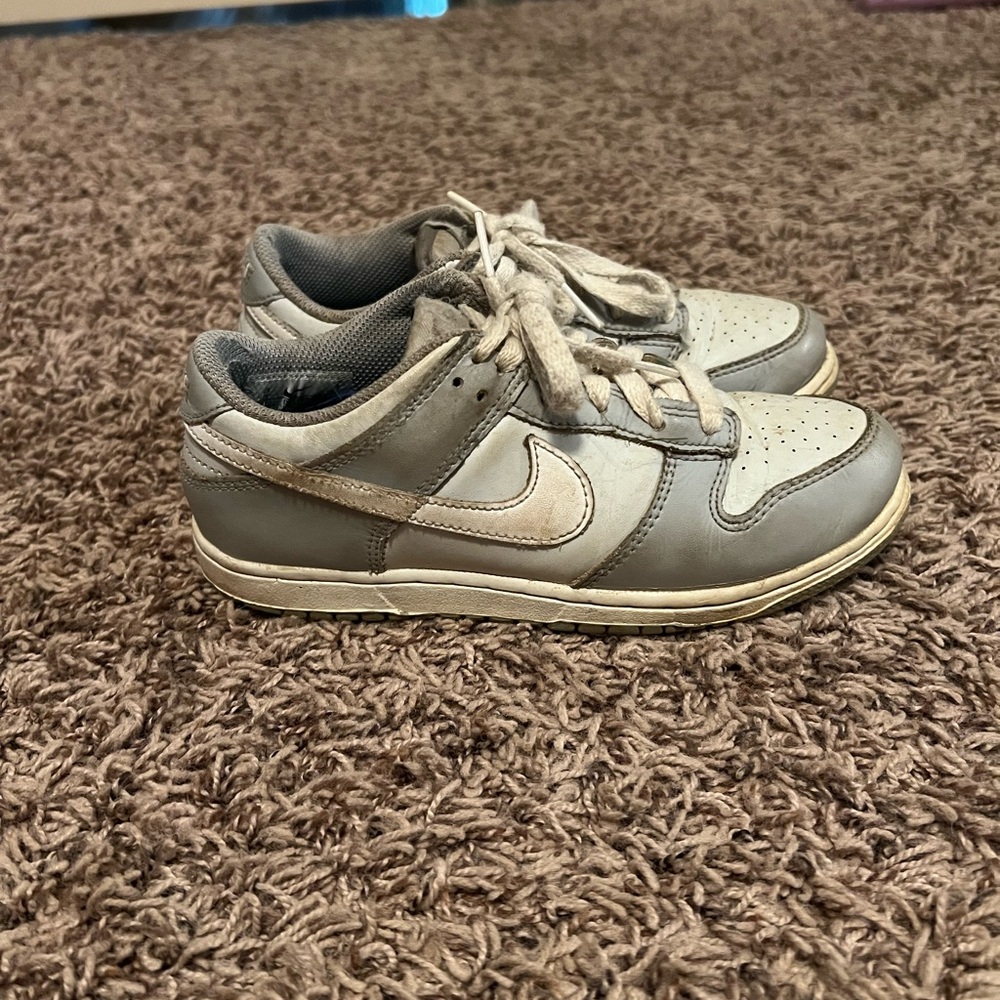 Boys Nike dunks low